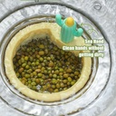 صفاية