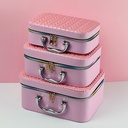 طقم  شنط لتنظيم وحمل ادوات الميكاب ب 3 احجام مختلفة من الجلد - بينك