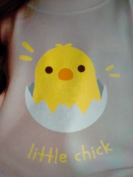 [HH00016654] Little Chick print