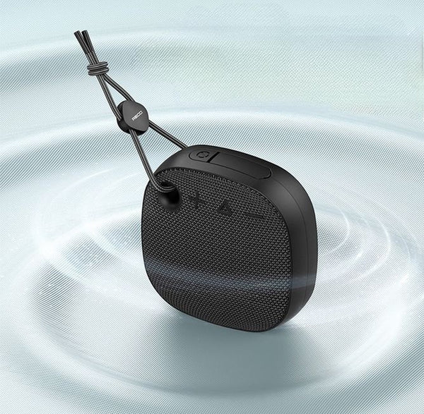 recci speaker