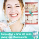 جهاز تنظيف الأسنان بالموجات فوق الصوتية لإزالة الجير والبلاك 31000 ذبذبة 5 أوضاع