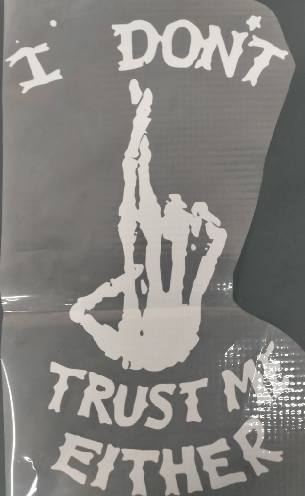 I dont Trust Me Either print