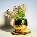 اصيص زرع من النحاس المزخرف لتجديد ديكور المنزل _ باللون الذهبي