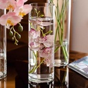 فازة زجاج شفاف بتصميم أسطواني الشكل للورد وتغير الديكور