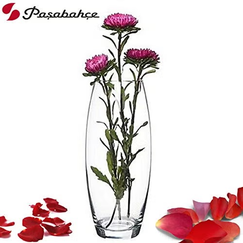 فازة زجاج شفاف بتصميم بيضاوي الشكل مقاس 26 * 8 سم