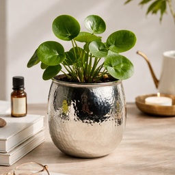 [HH00017851] اصيص زرع بتصميم ديكوري مزخرف _ باللون الفضي