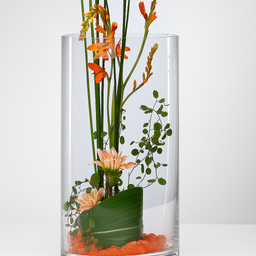 [HH00018959] فازة زجاج شفاف بتصميم أسطواني الشكل مقاس 13 * 26 سم