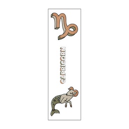 [HH00006768] Capricorn Zodiac Vinyl Sticker Pack Reusable &amp; Waterproof